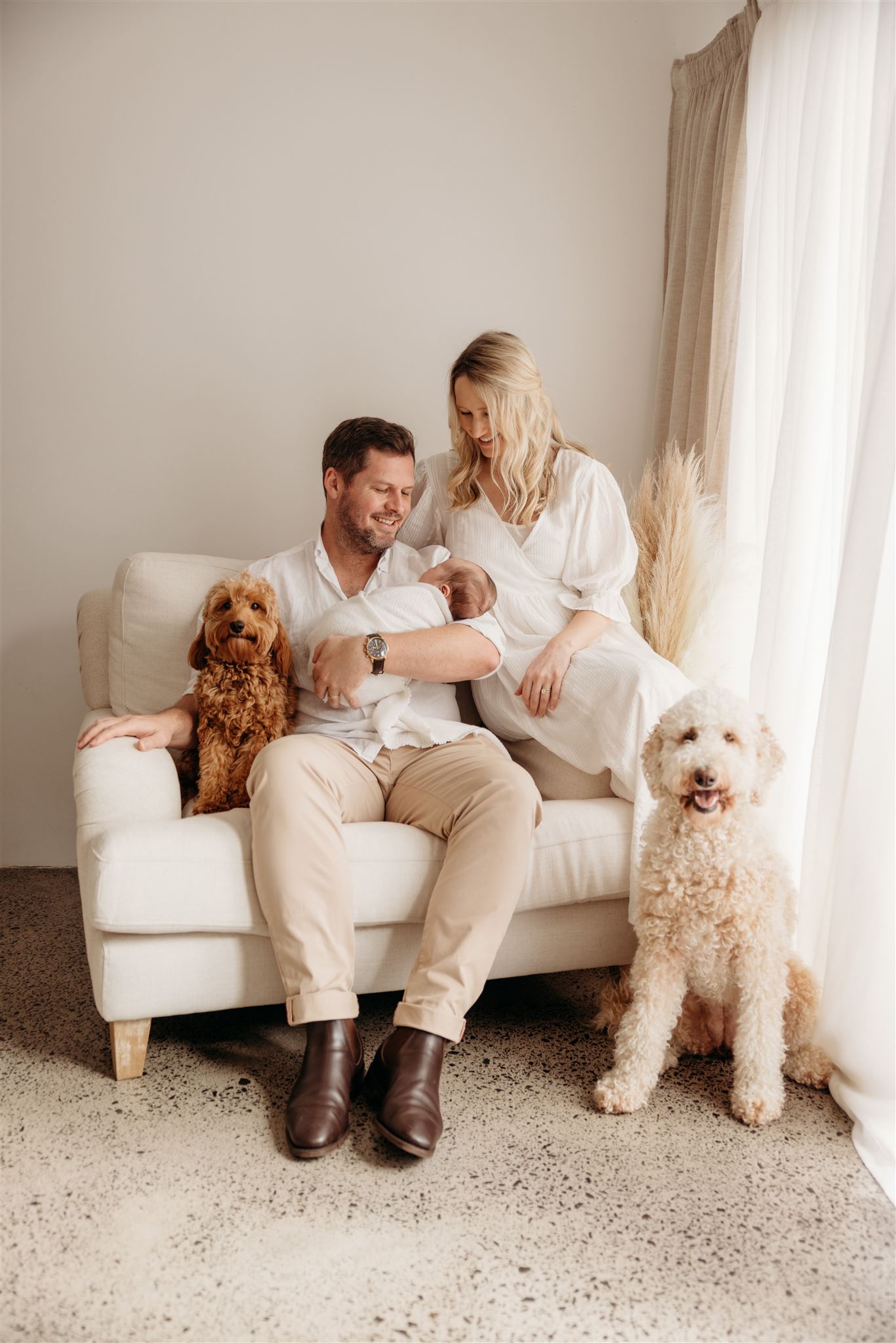 Tyler as a newborn with his parents and their two poodle dogs in the studio in auckland during their newborn family photoshoot with michelle kelly photography